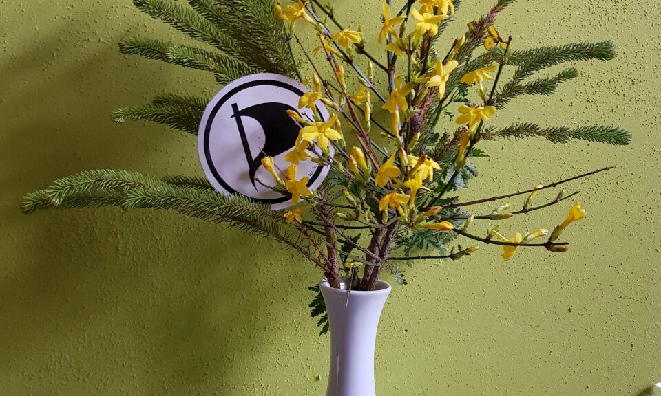 Ein weihnachtlicher Strauss mit Tannenzweigen in einer Vase. Auf den Zweigen liegt ein Aufkleber mit dem Piratenpartei-Logo